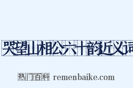 哭望山相公六十韵近义词是什么意思的图片